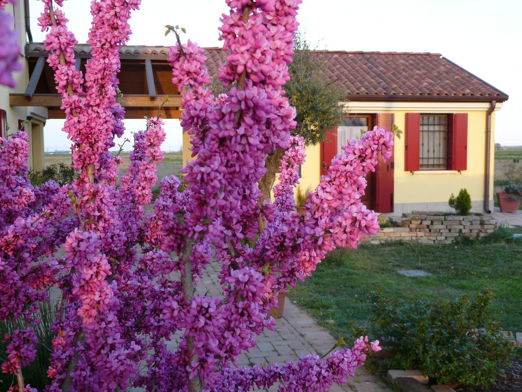 B&B La Garzetta Адриа Экстерьер фото